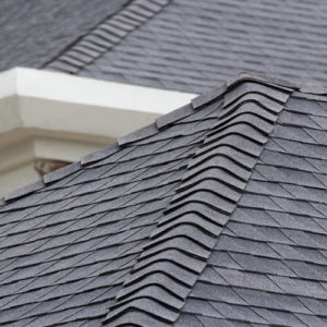 Roof Shingles